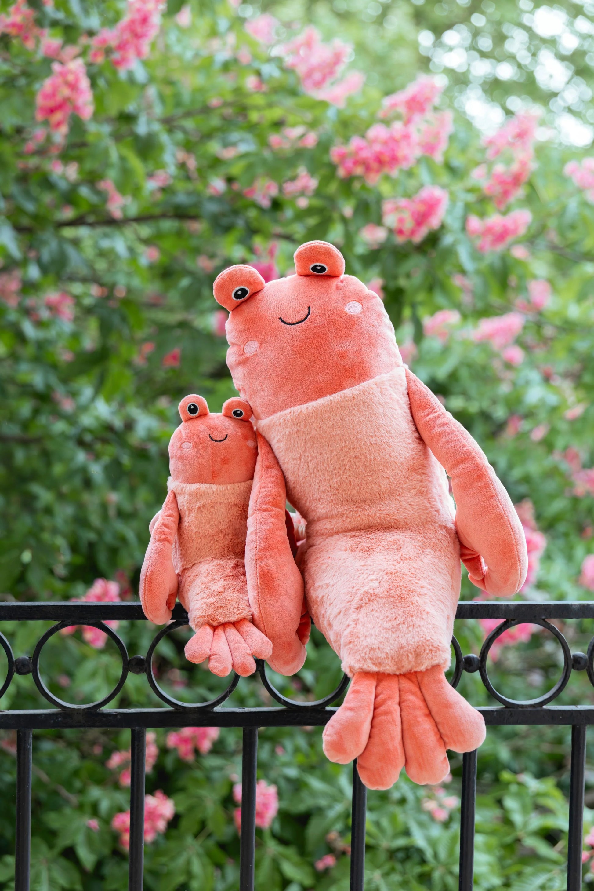 Nana Huchy - Craig the Crayfish