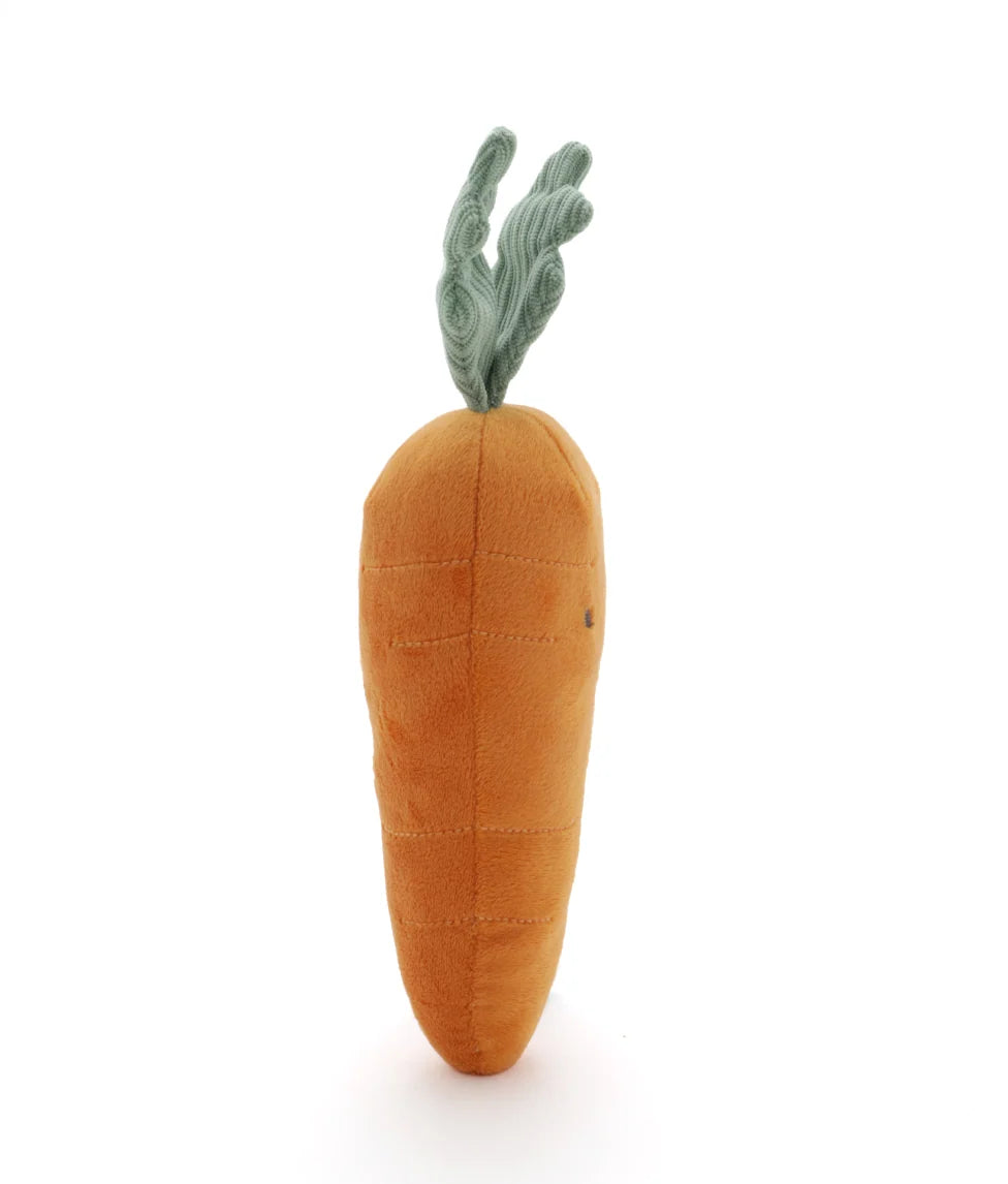Nana Huchy - Curtis Carrot | The Caring Friend