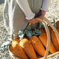 Nana Huchy - Curtis Carrot | The Caring Friend