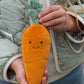 Nana Huchy - Curtis Carrot | The Caring Friend