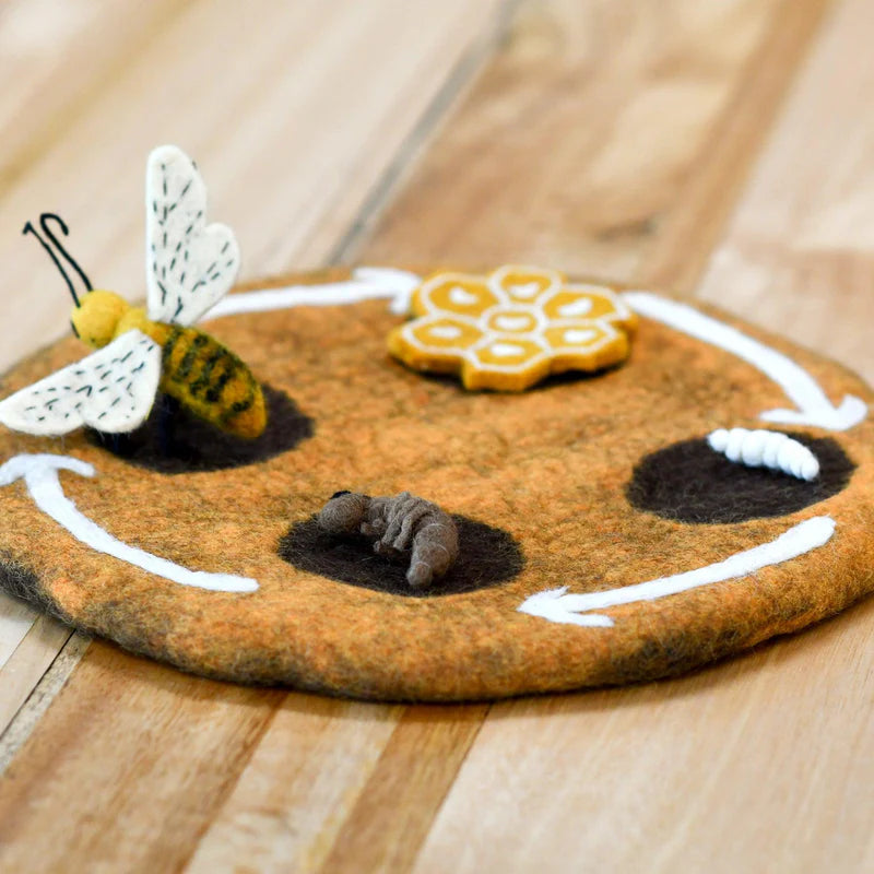 Tara Treasures - Lifecycle of a Honey Bee Felt Toys