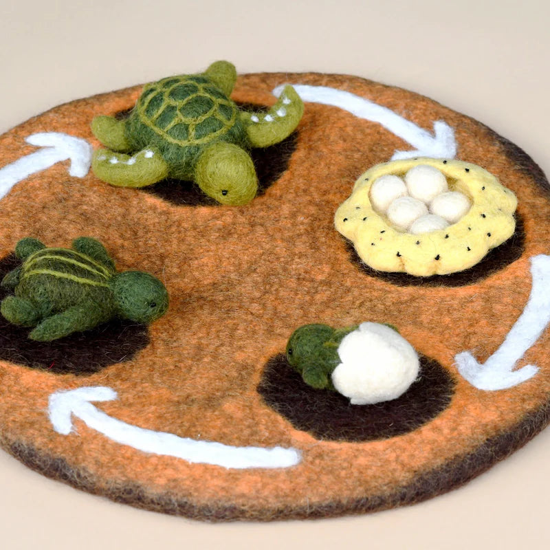 Tara Treasures - Lifecycle of a Green Sea Turtle Felt Toy