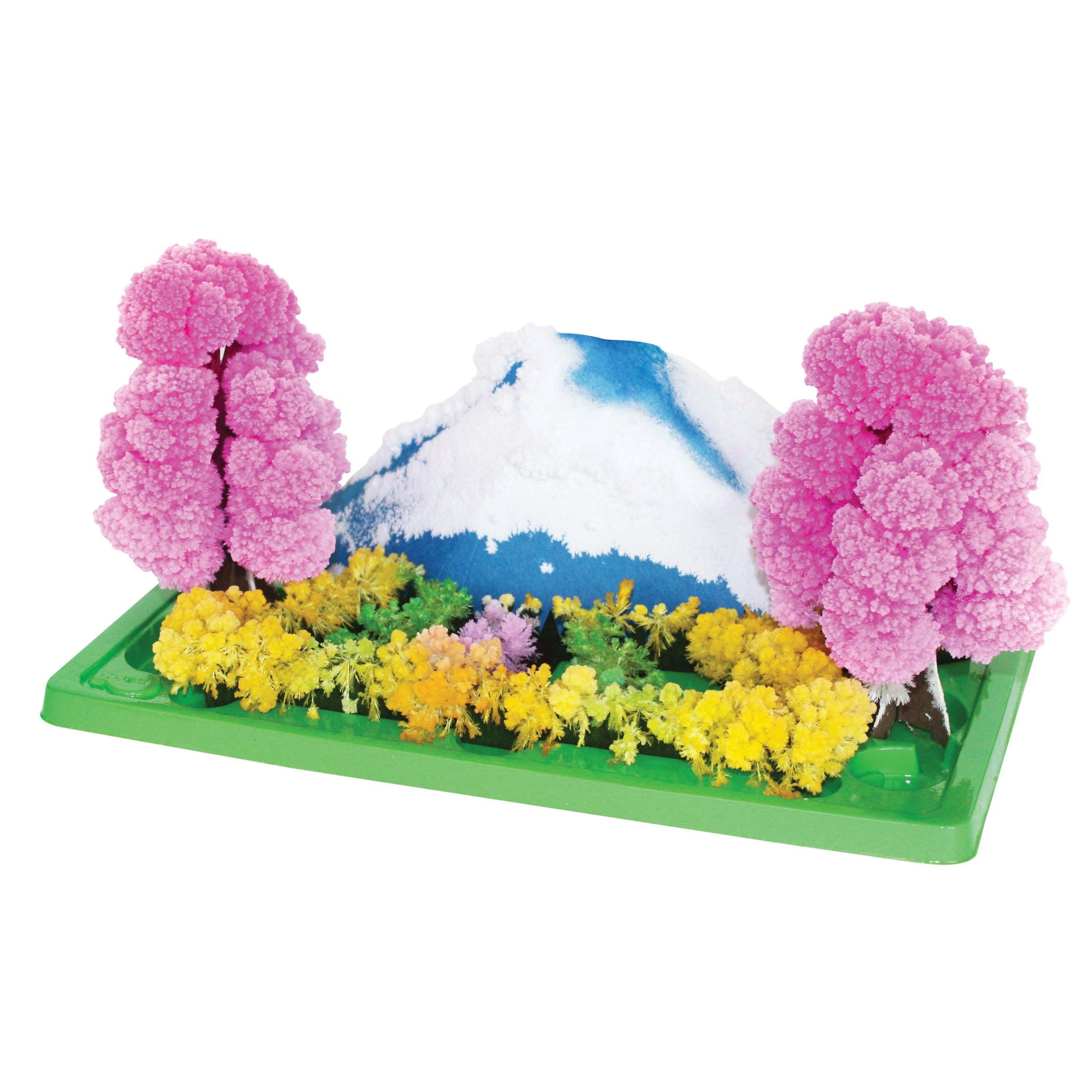 Crystal Growing Magic Garden