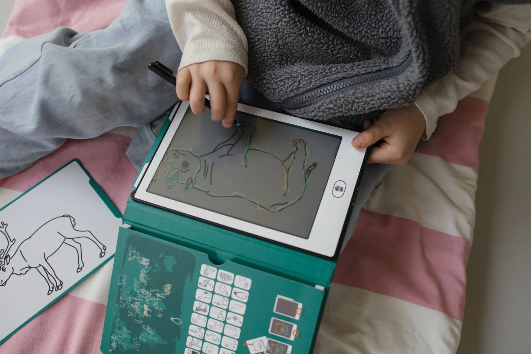 Kidywolf - Kidydraw Mini | Animals Around the World