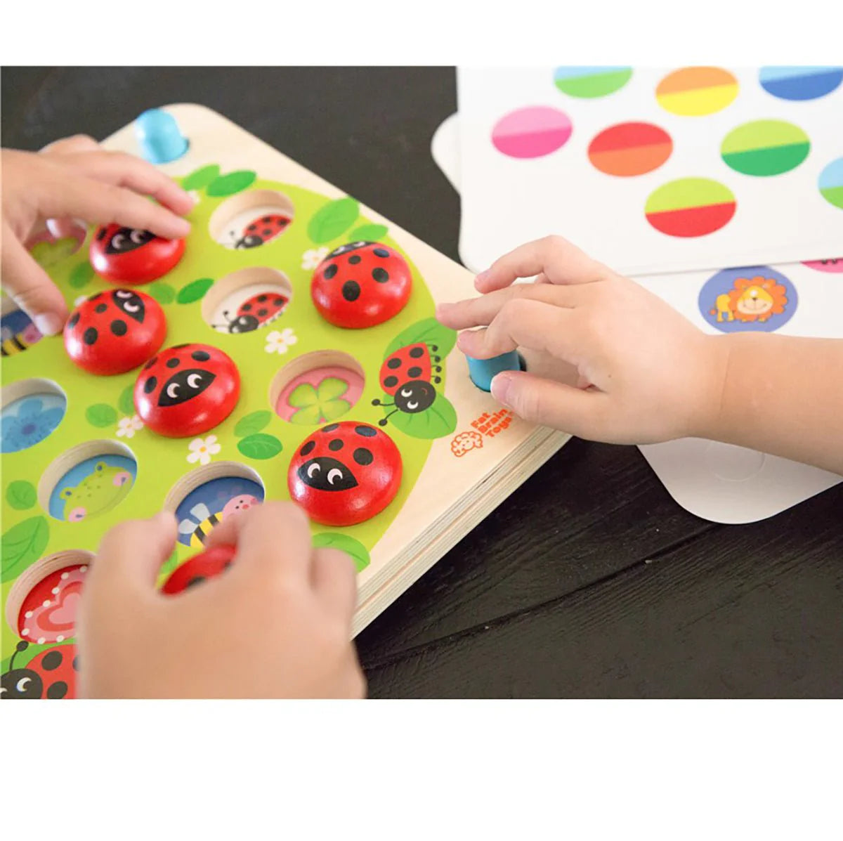 Fat Brain Toys Ladybug's Garden Memory Game