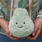 Nana Huchy - Polly Pear | The Positive Friend