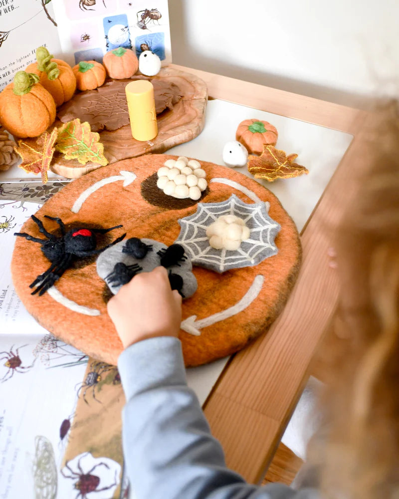 Tara Treasures - Lifecycle of Redback Spider Felt Toy