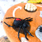 Tara Treasures - Lifecycle of Redback Spider Felt Toy