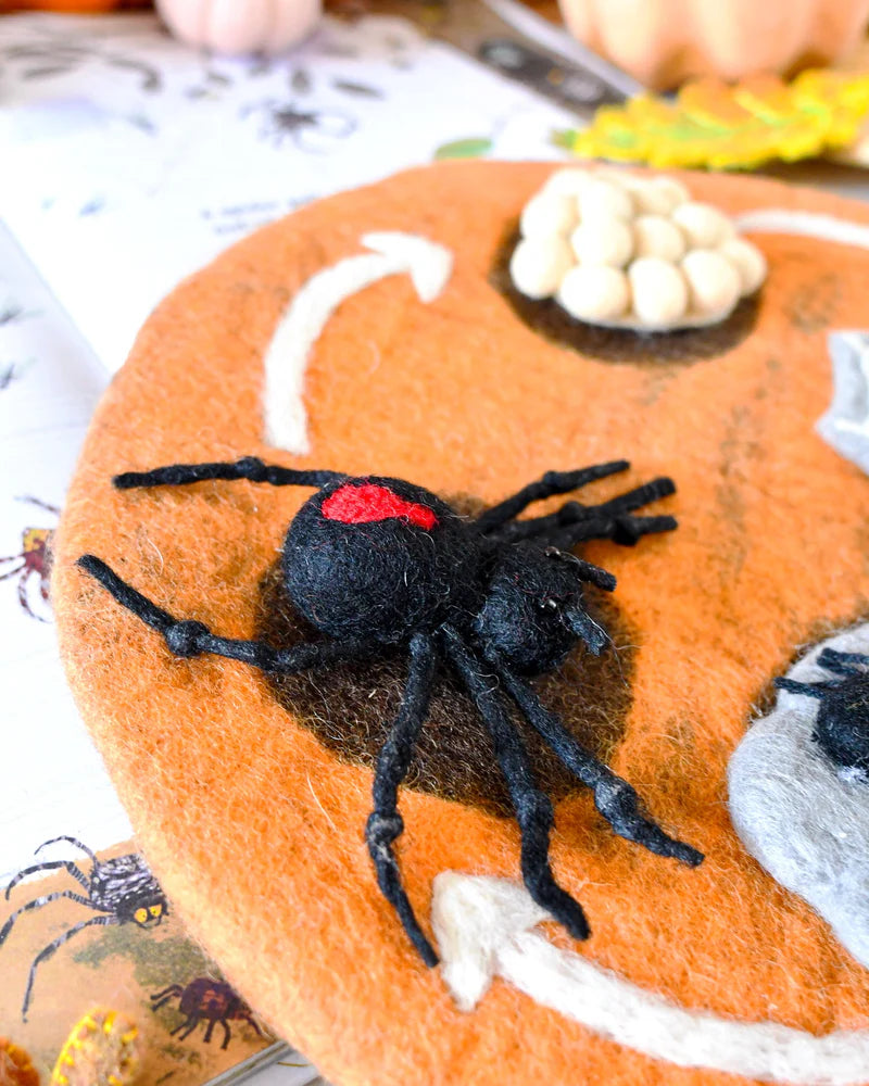 Tara Treasures - Lifecycle of Redback Spider Felt Toy