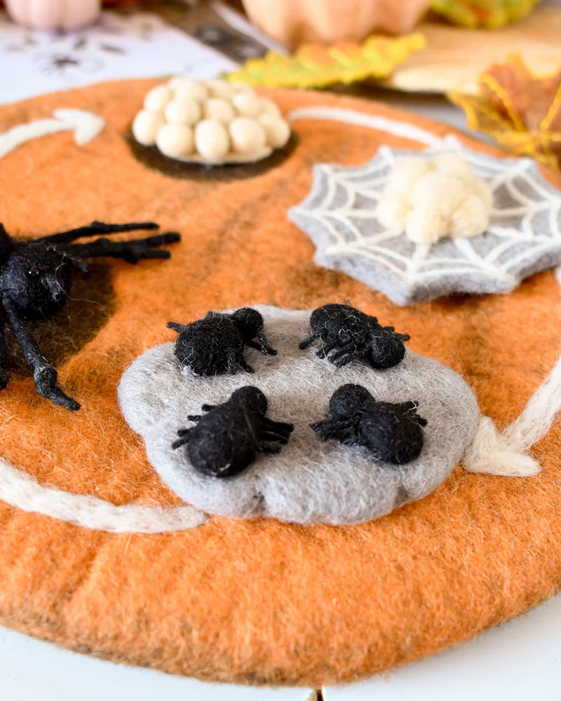 Tara Treasures - Lifecycle of Redback Spider Felt Toy