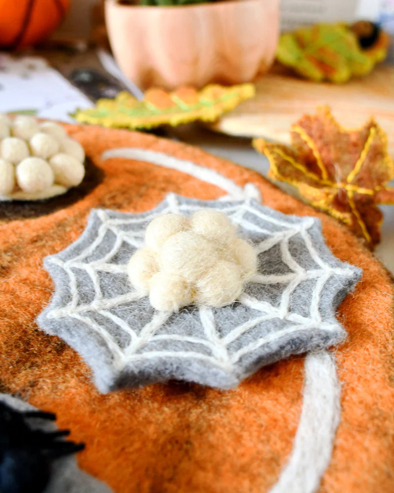 Tara Treasures - Lifecycle of Redback Spider Felt Toy