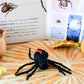 Tara Treasures - Lifecycle of Redback Spider Felt Toy