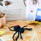 Tara Treasures - Lifecycle of Redback Spider Felt Toy