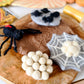 Tara Treasures - Lifecycle of Redback Spider Felt Toy
