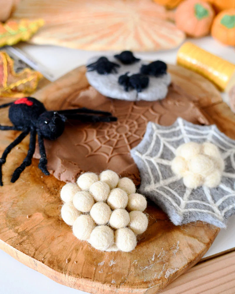 Tara Treasures - Lifecycle of Redback Spider Felt Toy
