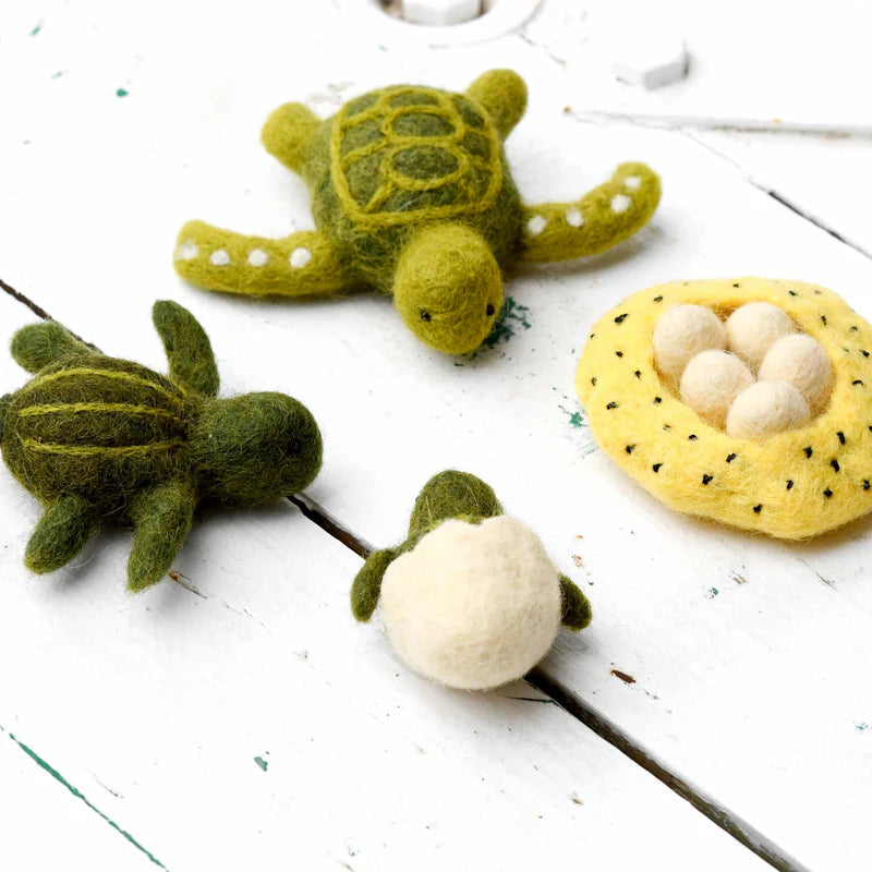 Tara Treasures - Lifecycle of a Green Sea Turtle Felt Toy