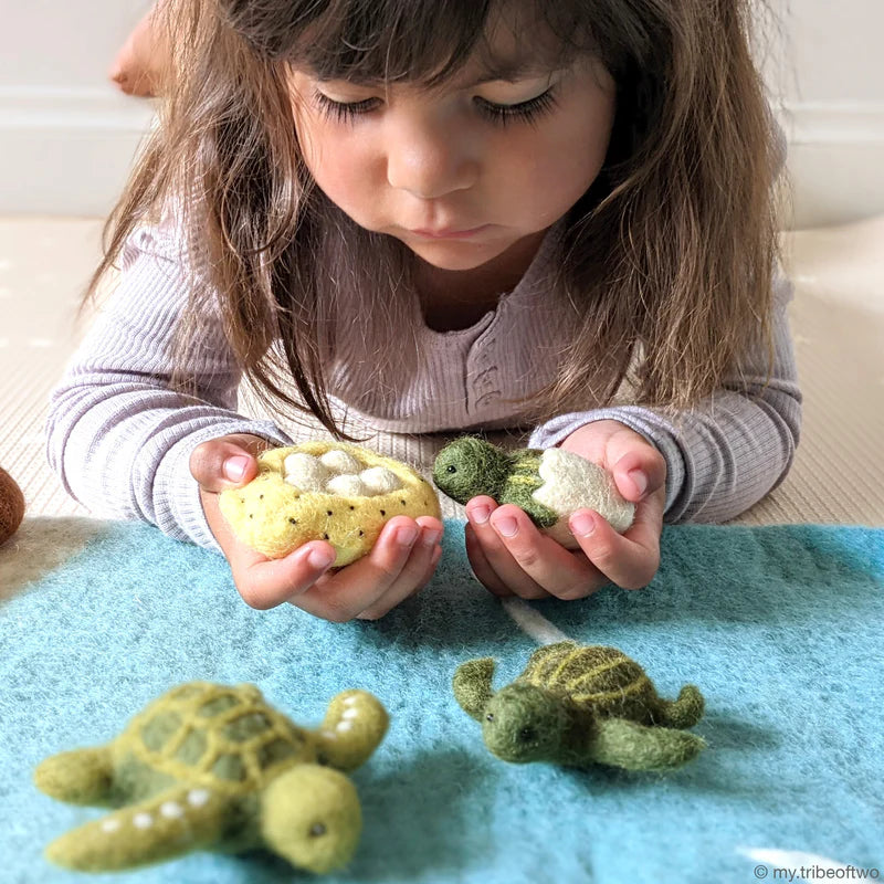 Tara Treasures - Lifecycle of a Green Sea Turtle Felt Toy