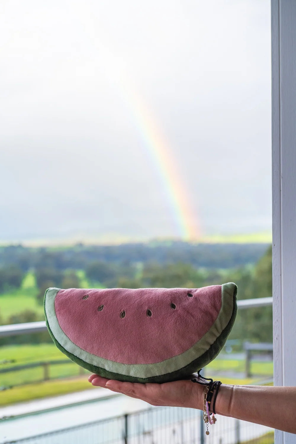 Nana Huchy - Winnie Watermelon | The Joyful Friend