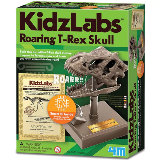 4M Roaring T-Rex Skull