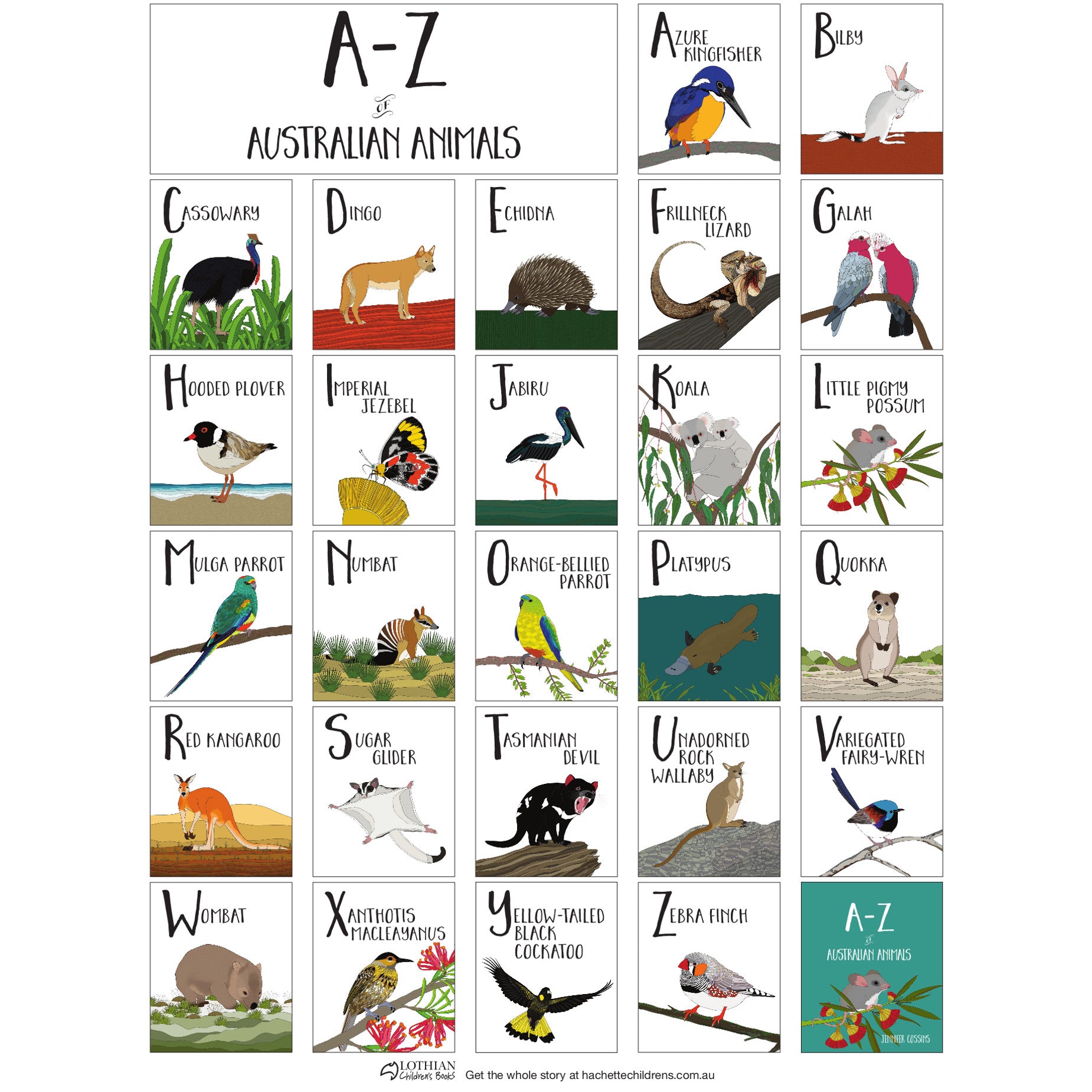 A - Z of Australian Animals hb Book 2