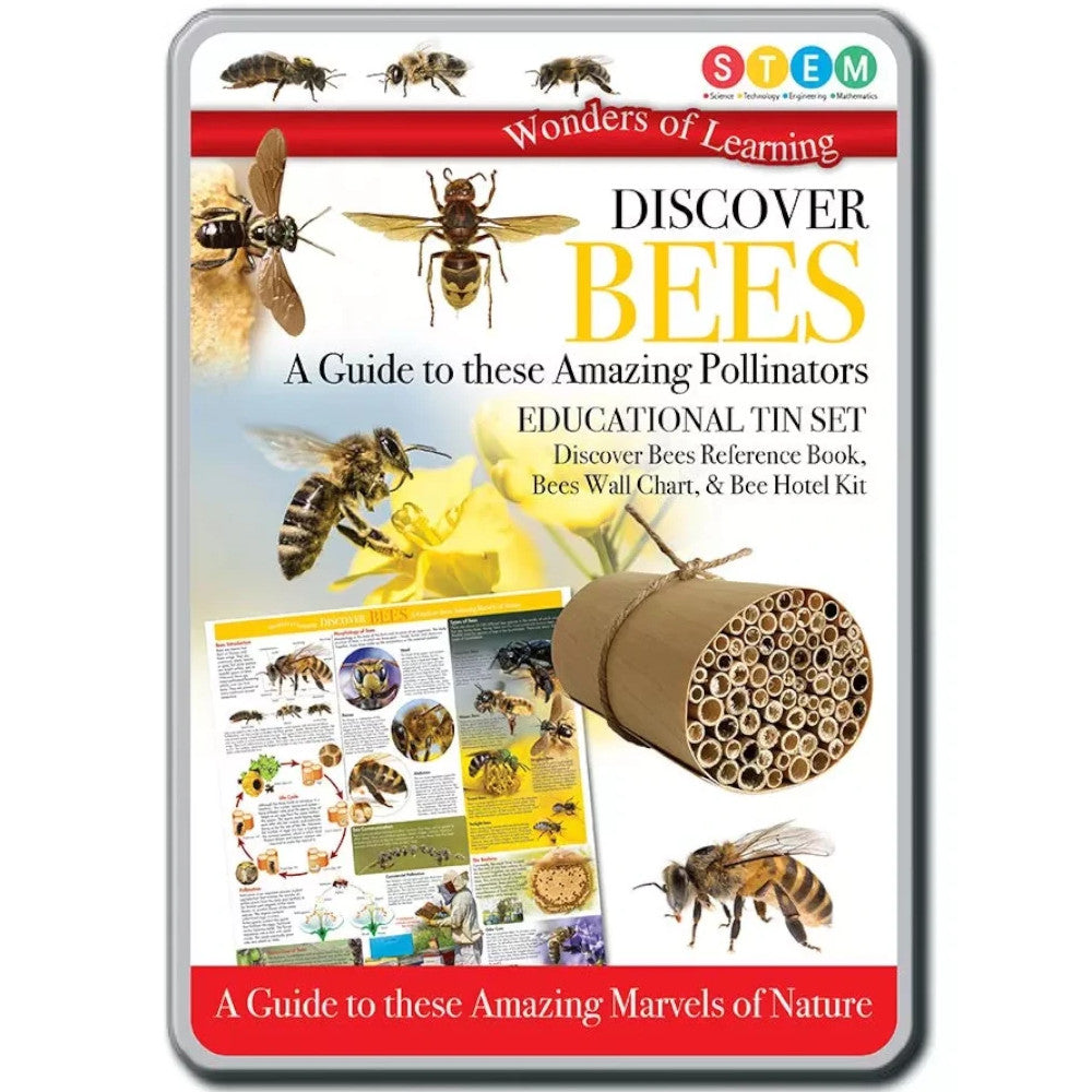 Discover Bees Wonders of Learning