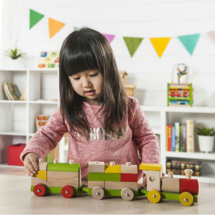 EVEREARTH EE33789 Lifestyle-Sorting Train Block EVEREARTH EE33789 Lifestyle-Sorting Train Block