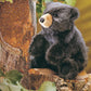 Folkmanis Baby Black Bear Puppet