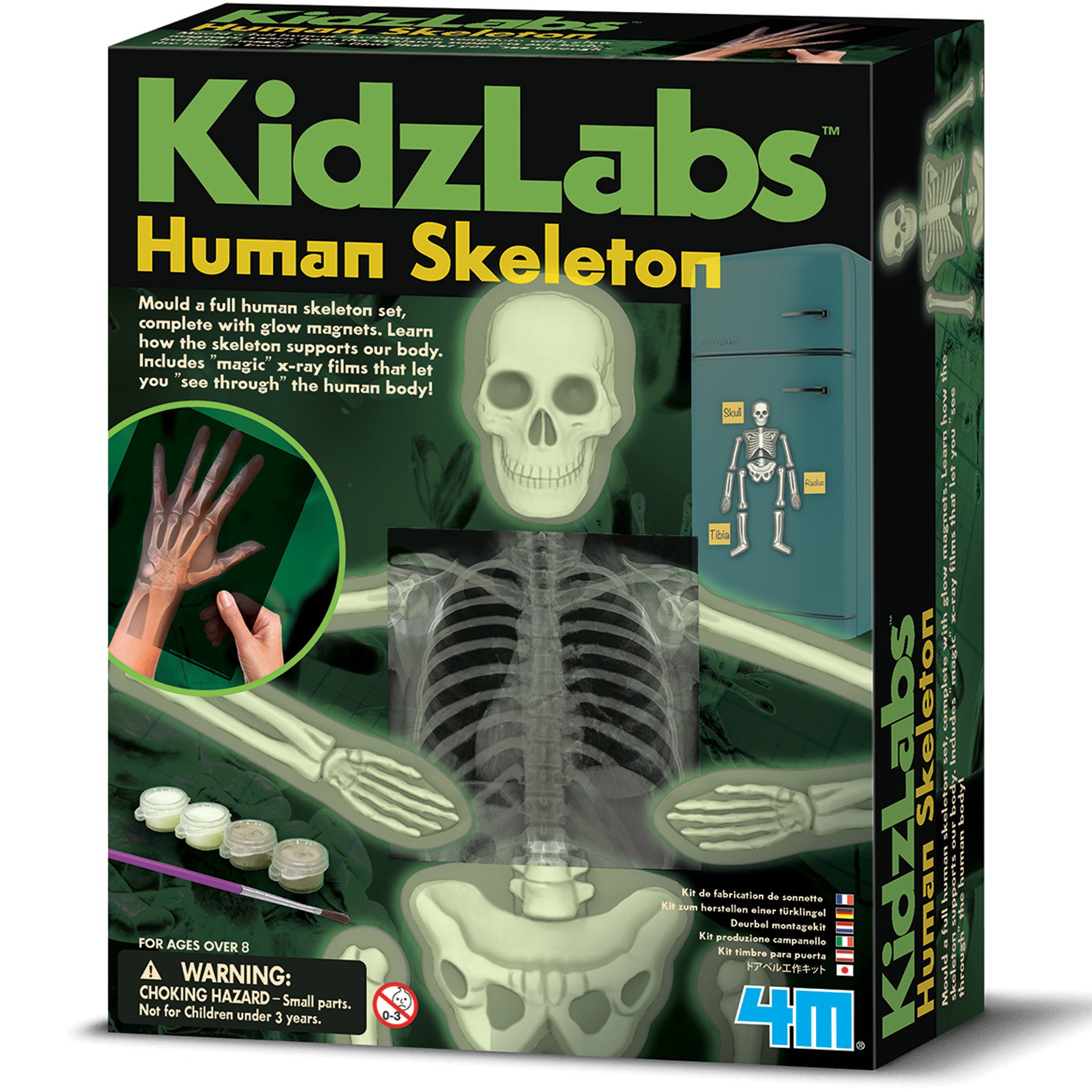 Kids Lab Human Glow Skeleton