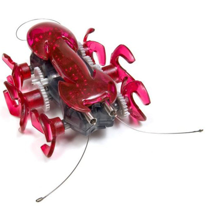 Hexbug Fire Ant